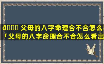 🍀 父母的八字命理合不合怎么看「父母的八字命理合不合怎么看出来」